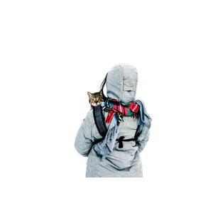 A Person With A Cat Takes A Hiking Adventure In Snowy Field, BC. 17176 - Cat PNG image with transparent background